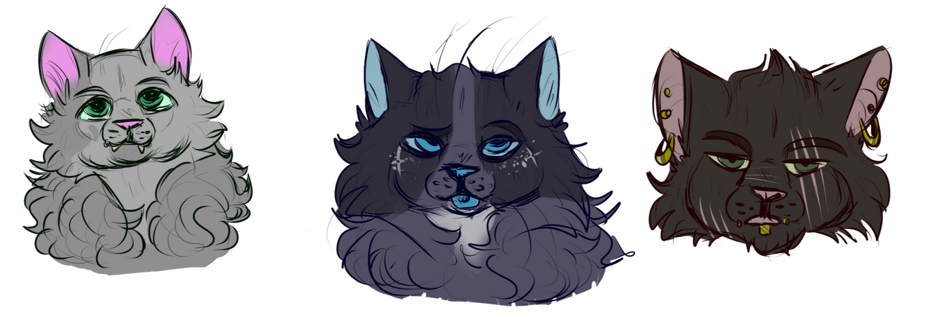 Headshots - Flat - $10